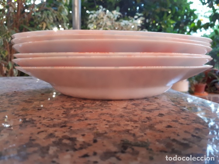 Antig&uuml;edades: preciso juego de platos arcopal , a estrenar - Foto 9