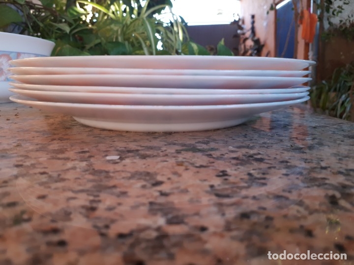 Antig&uuml;edades: preciso juego de platos arcopal , a estrenar - Foto 13