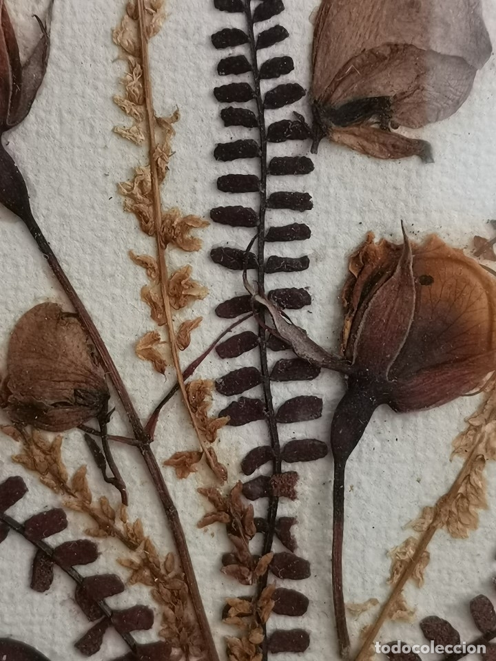 Antig&uuml;edades: Cuadro flores secas con marco dorado - Foto 4