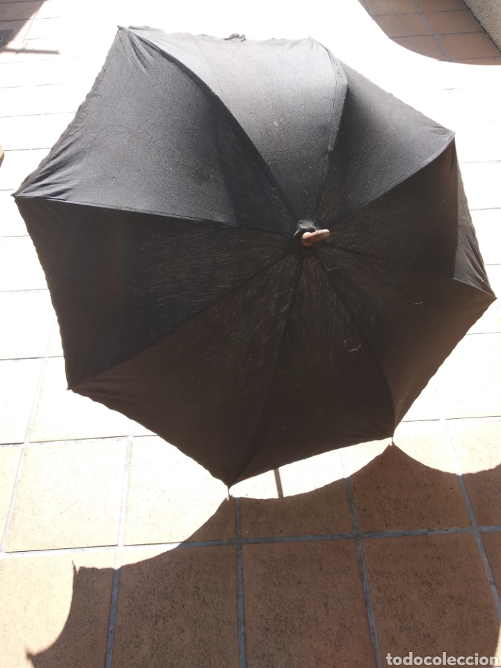 paraguas de pastor - Compra venta todocoleccion