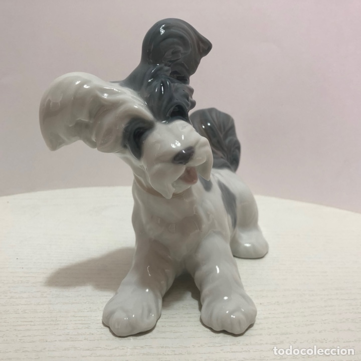 Antig&uuml;edades: REF: 01004643 &ldquo;TERRIER&rdquo; LLADR&Oacute; - Foto 11