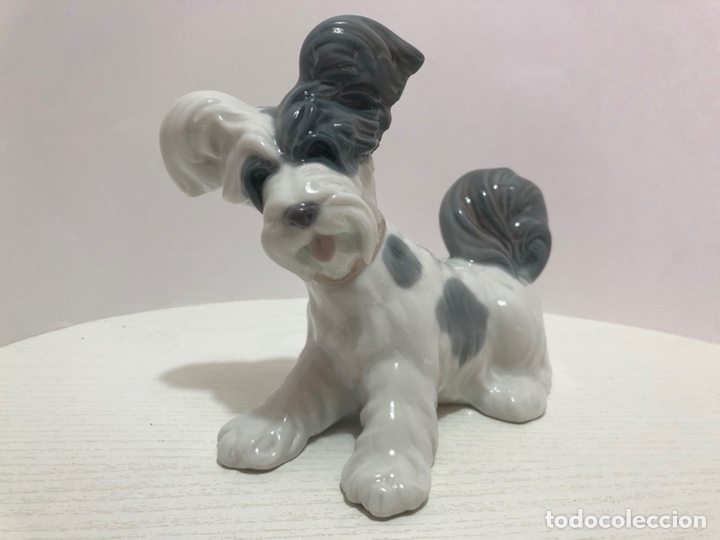 Antig&uuml;edades: REF: 01004643 &ldquo;TERRIER&rdquo; LLADR&Oacute; - Foto 12