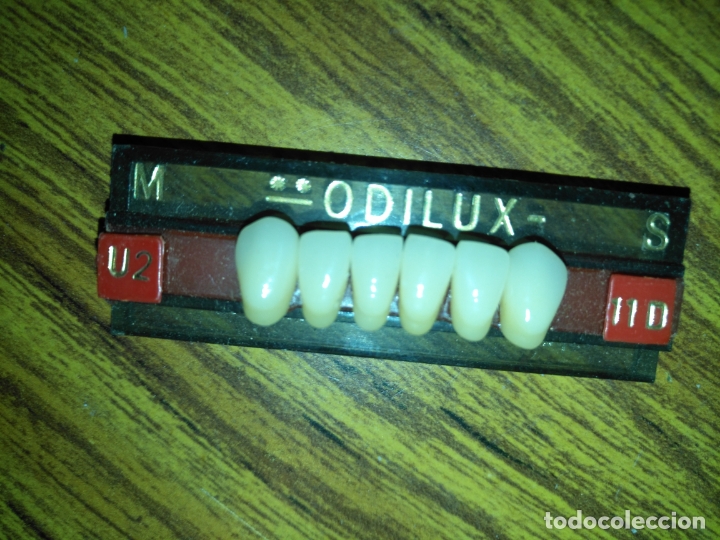 Antiquit&auml;ten: ANTIGUO MUESTRARIO DE DIENTES PROTESICO DENTAL PARA DENTADURAS ESCULTURA ETC , VER MAS