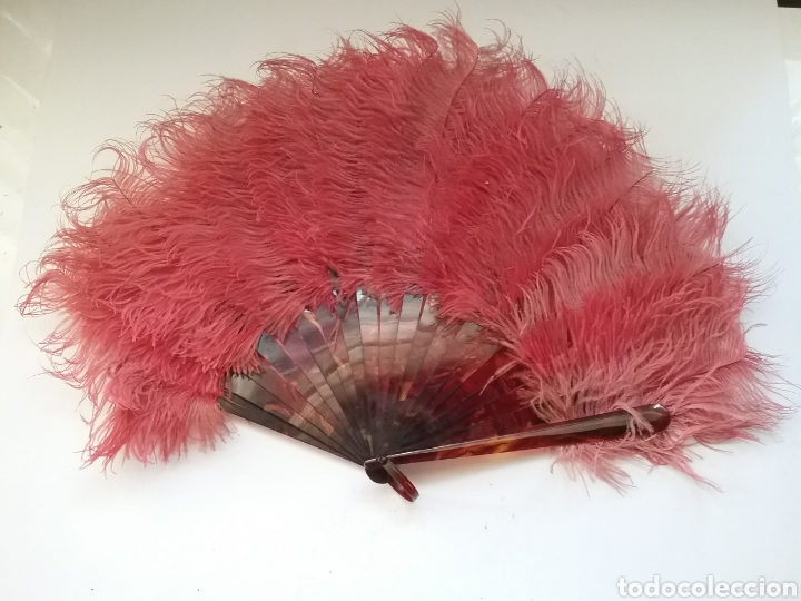 Antig&uuml;edades: Abanico de plumas y varillaje en celuloide. - Foto 2