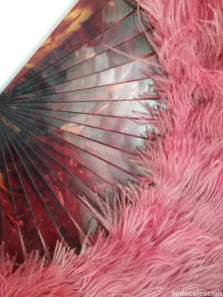 Antig&uuml;edades: Abanico de plumas y varillaje en celuloide. - Foto 3