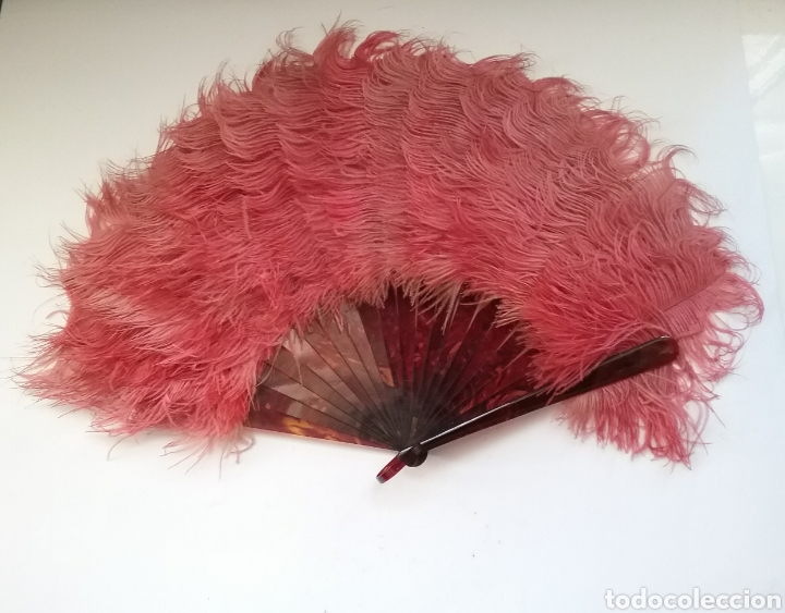Antig&uuml;edades: Abanico de plumas y varillaje en celuloide. - Foto 1