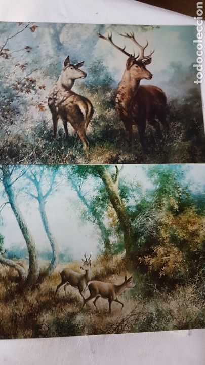 Antig&uuml;edades: La Monter&iacute;a a trav&eacute;s de la pintura - Foto 2