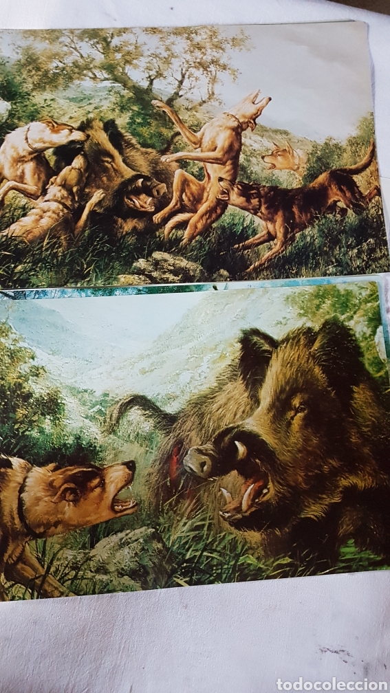 Antig&uuml;edades: La Monter&iacute;a a trav&eacute;s de la pintura - Foto 3