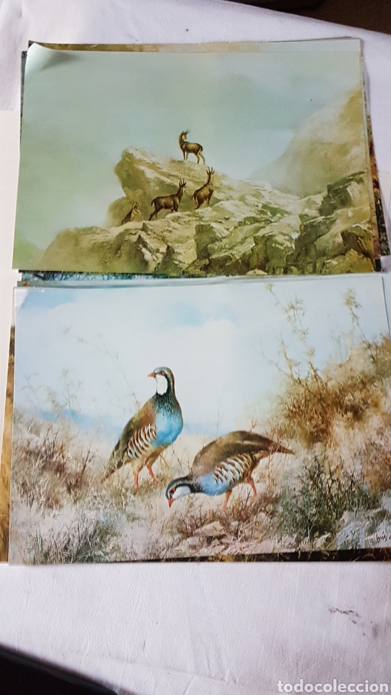 Antig&uuml;edades: La Monter&iacute;a a trav&eacute;s de la pintura - Foto 6