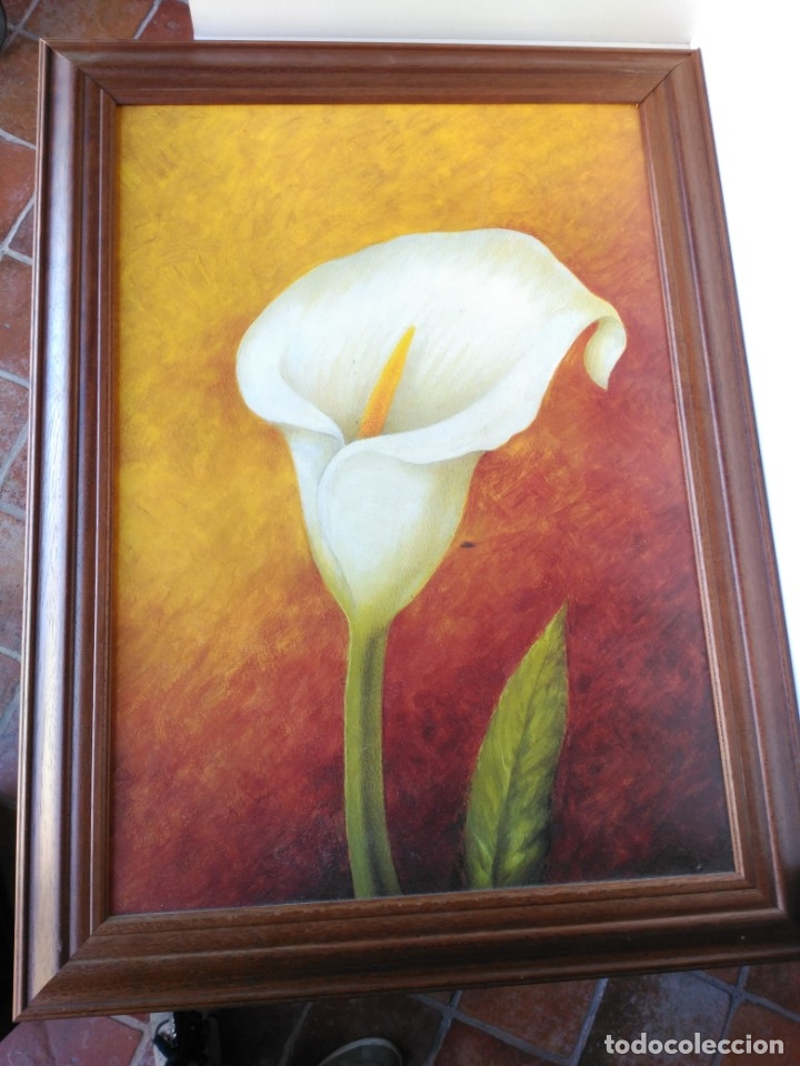 Antiguidades: Cuadro con bonito marco