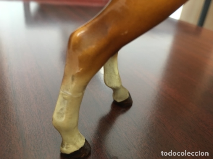 Antig&uuml;edades: CABALLO DE PORCELANA - Foto 8