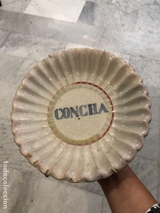 Antig&uuml;edades: GRACIOSO PLATO, CONCHA - Foto 1