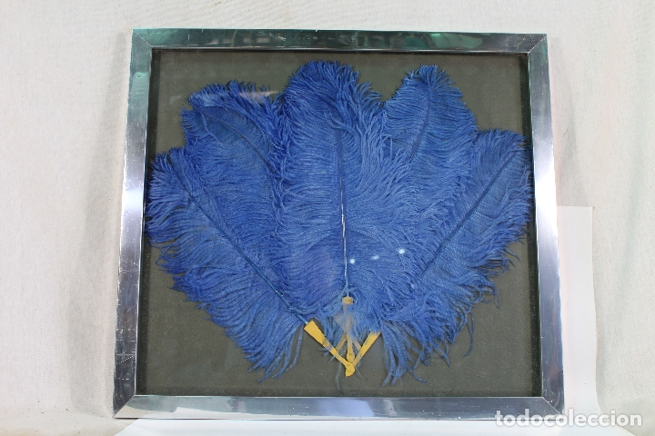 Antig&uuml;edades: cuadro vitrina abanico de plumas - Foto 2
