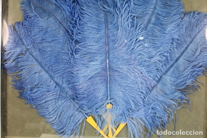 Antig&uuml;edades: cuadro vitrina abanico de plumas - Foto 4