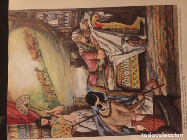 Antig&uuml;edades: Sagrada Biblia de 1971. Como nueva - Foto 16