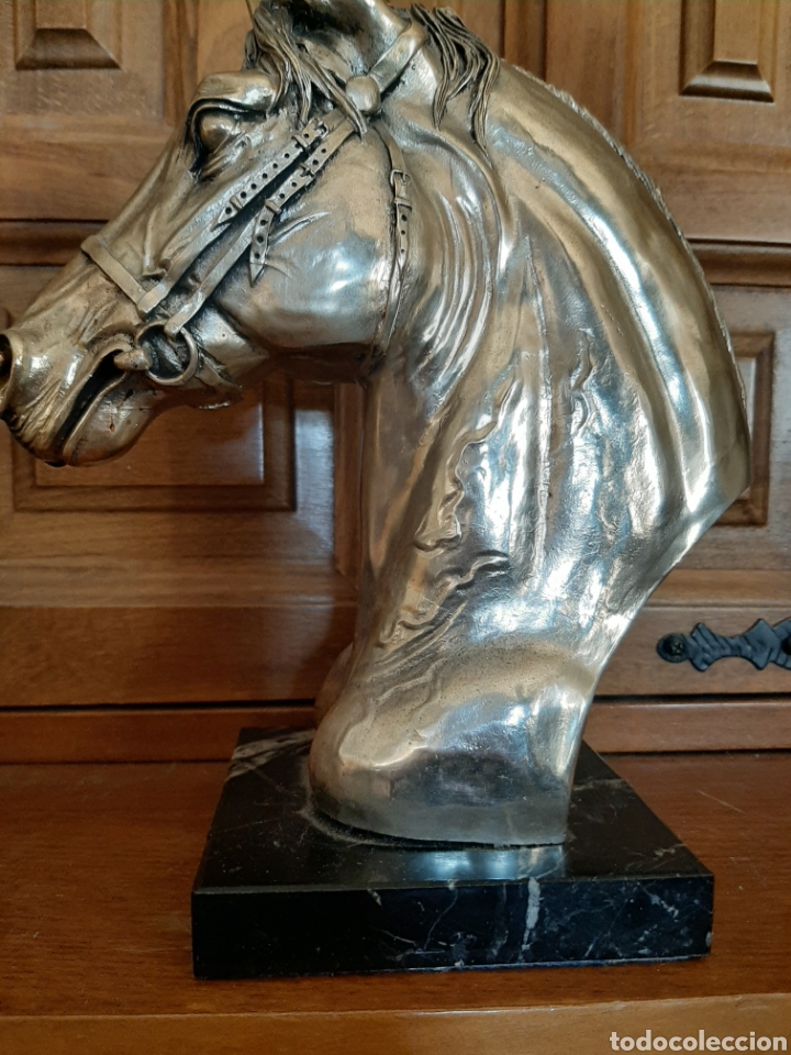 Antig&uuml;edades: Busto de caballo - Foto 4