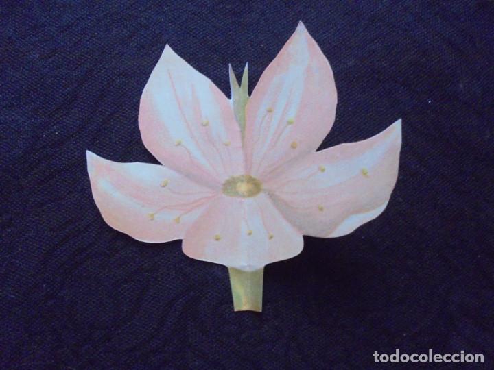 Antig&uuml;edades: Recordatorio colegio religioso oruga/flor - Foto 2