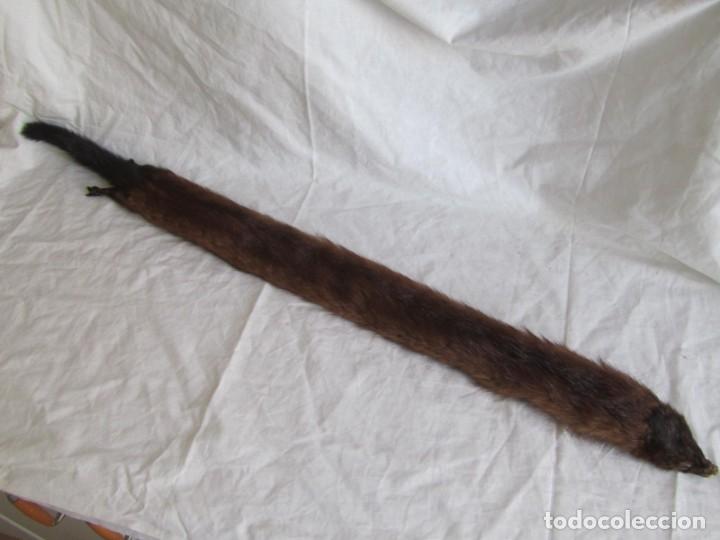 Antig&uuml;edades: Estola de vis&oacute;n con pinza, ejemplar completo - Foto 2