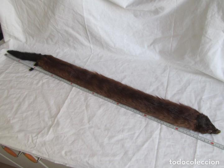 Antig&uuml;edades: Estola de vis&oacute;n con pinza, ejemplar completo - Foto 12