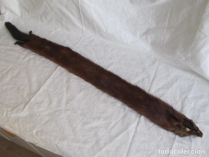 Antig&uuml;edades: Estola de vis&oacute;n con pinza, ejemplar completo - Foto 15