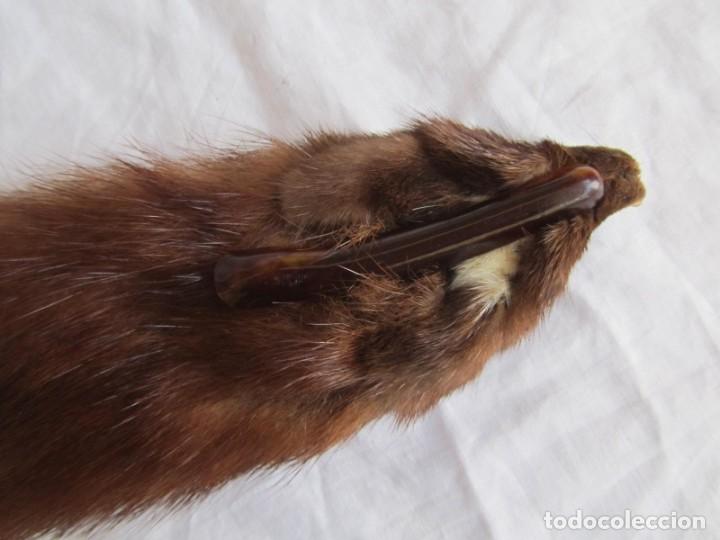 Antig&uuml;edades: Estola de vis&oacute;n con pinza, ejemplar completo - Foto 16