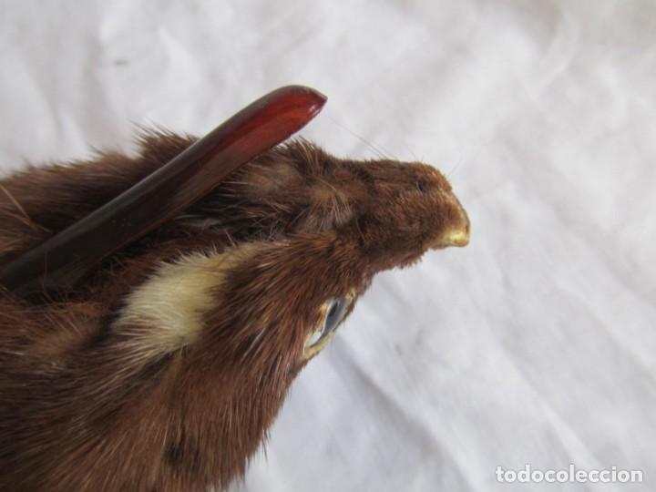Antig&uuml;edades: Estola de vis&oacute;n con pinza, ejemplar completo - Foto 17