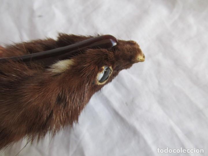 Antig&uuml;edades: Estola de vis&oacute;n con pinza, ejemplar completo - Foto 18