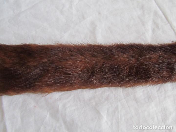 Antig&uuml;edades: Estola de vis&oacute;n con pinza, ejemplar completo - Foto 20