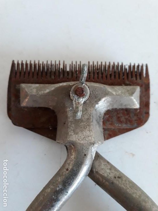 Antig&uuml;edades: Cortadora de crines y rapar pelo de caballos. - Foto 3