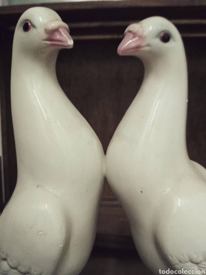 Antig&uuml;edades: Pareja de palomas - Foto 5