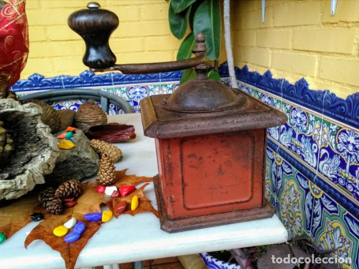 Antig&uuml;edades: Molinillo de caf&eacute; antiguo Elma - Foto 5
