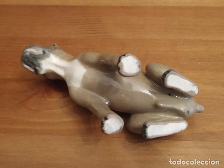Antig&uuml;edades: PERRO BOXER PORCELANA - Foto 4