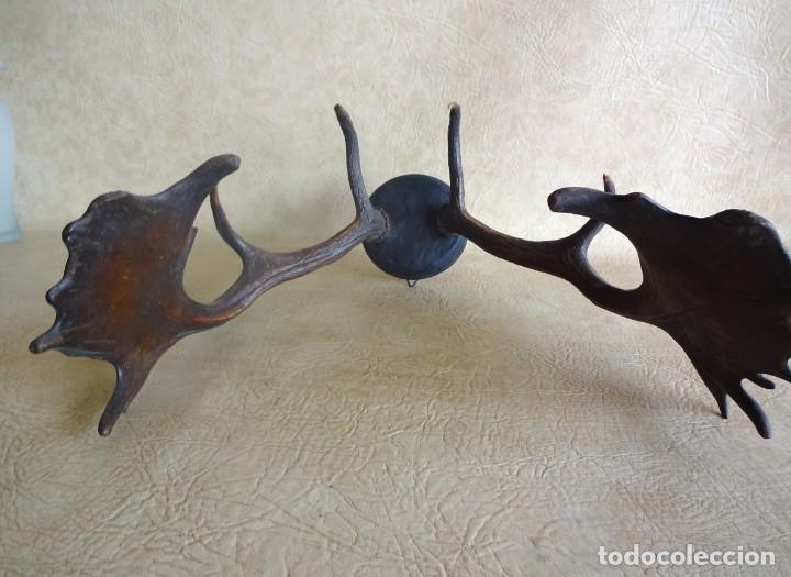 Antig&uuml;edades: antiguos cuernos de gamo - Foto 4
