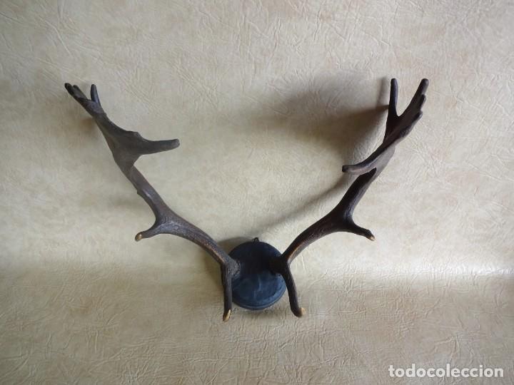 Antig&uuml;edades: antiguos cuernos de gamo - Foto 1