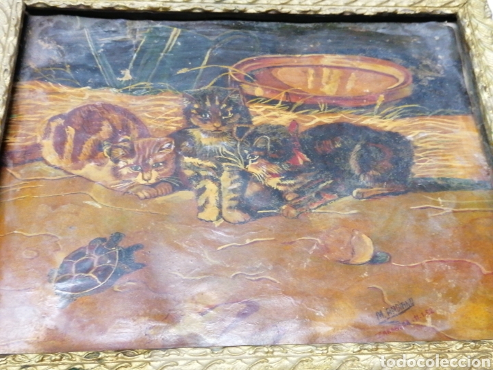 Antig&uuml;edades: Marco y l&aacute;mina gatos - Foto 2