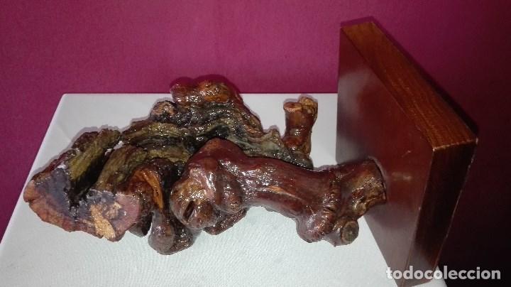 Antig&uuml;edades: ESCULTURA RAIZ DE MADERA - Foto 9