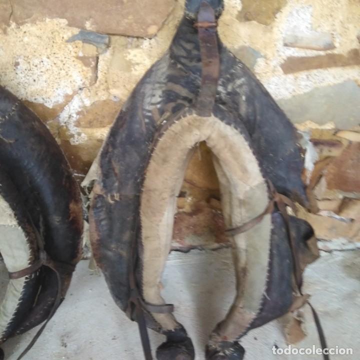 Antig&uuml;edades: Antigua pareja de colleras - Foto 3