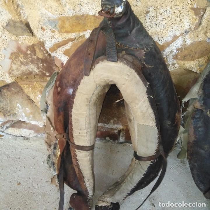 Antig&uuml;edades: Antigua pareja de colleras - Foto 6
