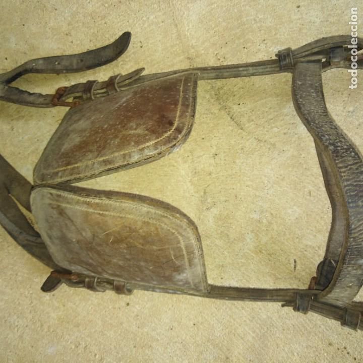 Antig&uuml;edades: Antigua Cabezada de caballo - Foto 1