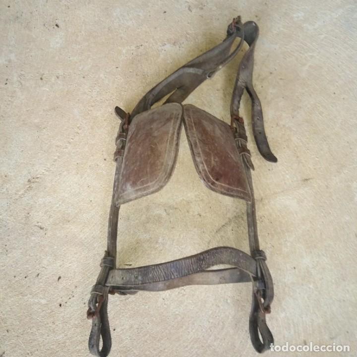 Antig&uuml;edades: Antigua Cabezada de caballo - Foto 3