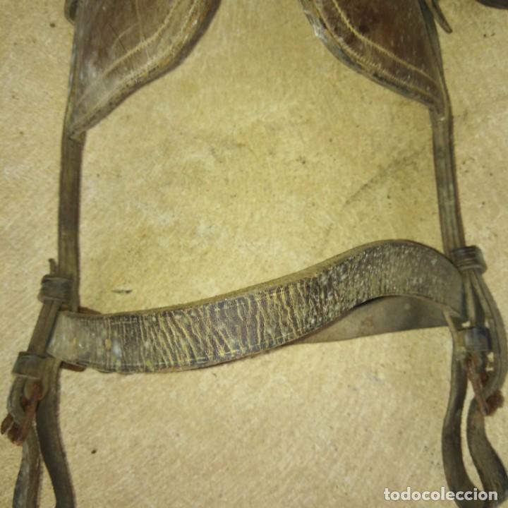 Antig&uuml;edades: Antigua Cabezada de caballo - Foto 2