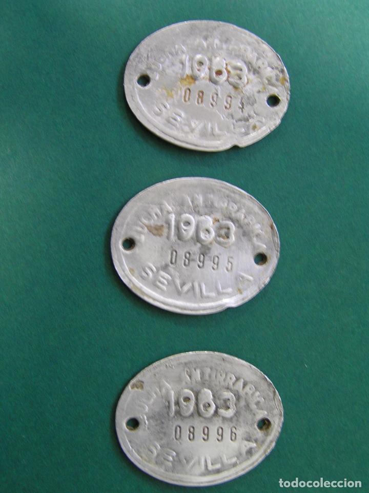 Antiquit&eacute;s: 3 CHAPAS LUCHA ANTIRR&Aacute;BICA 1963 SEVILLA CON NUMERACI&Oacute;N CONSECUTIVA :  08994  .08995   08996.