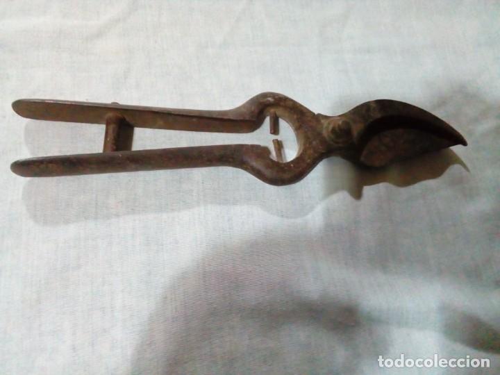 Antig&uuml;edades: antiguas tijeras de podar - Foto 3