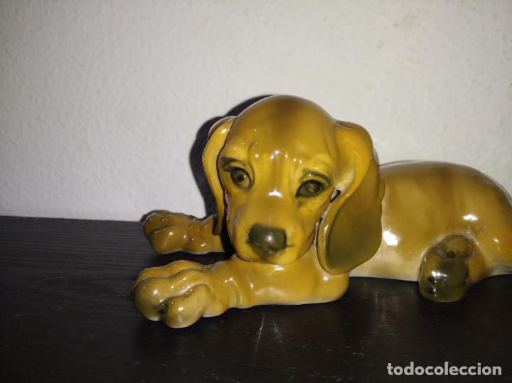 Antigüedades: Preciosa figura de porcelana Rosenthal perro Dachshund Vintage Germany Handgemalt 1964 - Foto 2 - 192834883