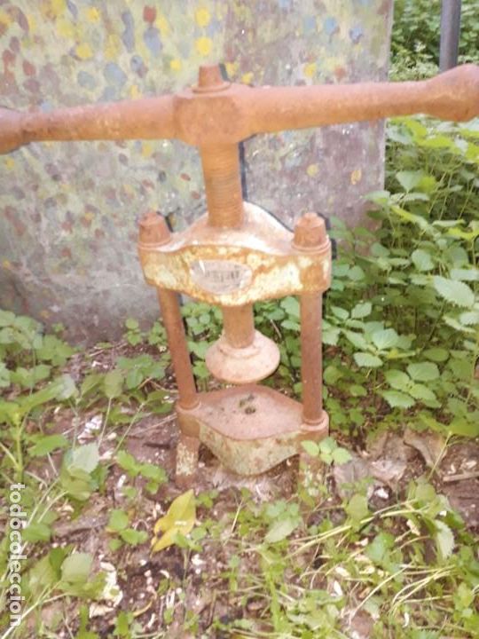 Antig&uuml;edades: Prensa para comprobar el rendimiento de aceitunas - Foto 1