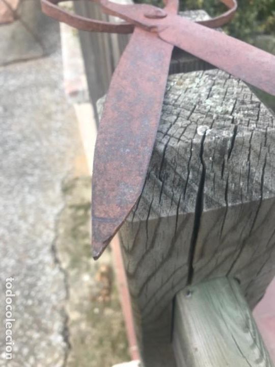Antig&uuml;edades: Tijeras, forja, de autor - Foto 5