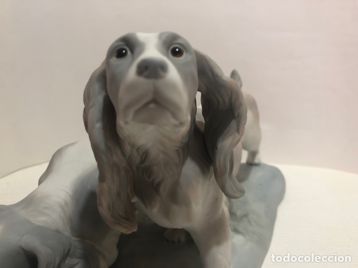 Antig&uuml;edades: REF: 01010442 &ldquo;PAREJA DE COCKER SPANIELS&rdquo; LLADR&Oacute; - Foto 5