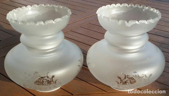 Antiquit&eacute;s: TULIPAS DE CRISTAL GRABADAS AL &Aacute;CIDO