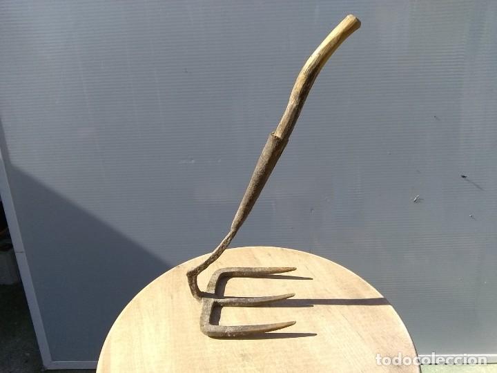 Antig&uuml;edades: Antiguo rastrillo - Foto 2