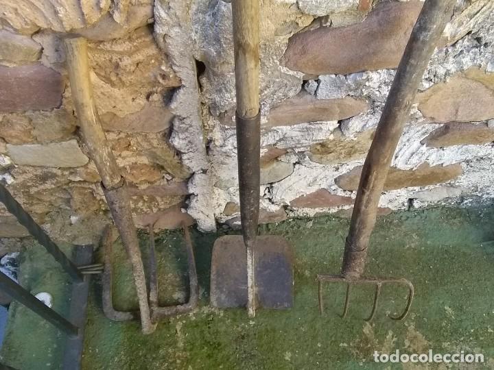 Antig&uuml;edades: Azada antigua - Foto 8